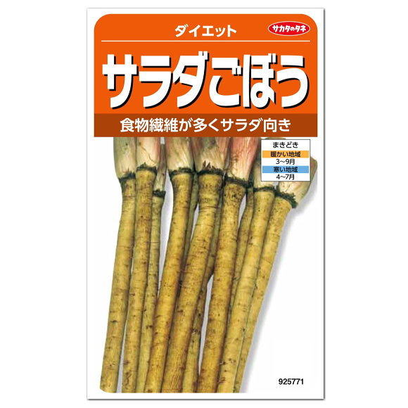 サカタのタネ サラダごぼう ダイエット 種 家庭菜園 キク科 短根種 ゴボウのタネ 野菜 たね 種子 レシ..