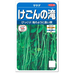 サカタのタネ ササゲ けごんの滝 種 家庭菜園 ささげ たね 種子