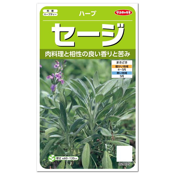 サカタのタネ ハーブ セージ 種 多年草 家庭菜園 コモンセージのタネ たね 種子 料理用 ハーブ HERB ヤクヨウサルビア