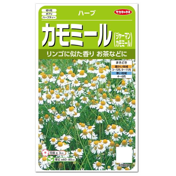 サカタのタネ ハーブ カモミール ジャーマンカモミール 種 多年草 家庭菜園 料理用 たね 種子 HERB カミツレ