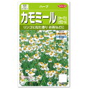 サカタのタネ ハーブ カモミール ジャーマンカモミール 種 多年草 家庭菜園 料理用 たね 種子 HERB カミツレ