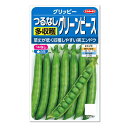 サカタのタネ つるなしグリーンピース グリッピー 多収穫 種 家庭菜園 タネ たね 種子 豆類