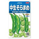 サカタのタネ 中生大粒そらまめ 種 家庭菜園 ソラマメ そら豆そらまめ なかて種 蚕豆 空豆 そら豆のタネ 豆類