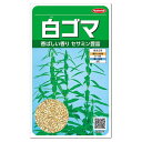 サカタのタネ 白ゴマ 種 家庭菜園 タネ ごまのたね 種子 野菜 リノール酸 オレイン酸 ビタミンE 免疫力アップ 機能 健康食品