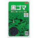 サカタのタネ 黒ゴマ 種 家庭菜園 タネ ごまのたね 種子 野菜 リノール酸 オレイン酸 ビタミンE 免疫力アップ 機能 健康食品