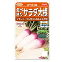 サカタのタネ 食べきりサラダ大根 あやめっ娘 種 短根種 家庭菜園 プランター栽培 だいこん たね 野菜 ダイコンのタネ