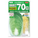 サカタのタネ 耐病黄芯やわらか甘い70日 さとぶき613 種 家庭菜園 白菜 はくさい ハクサイのタネ たね 種子