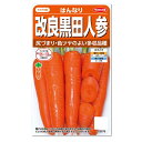 サカタのタネ 改良黒田人参 はんなり 種 家庭菜園 にんじん 人参 ニンジンのタネ 健康野菜 たね