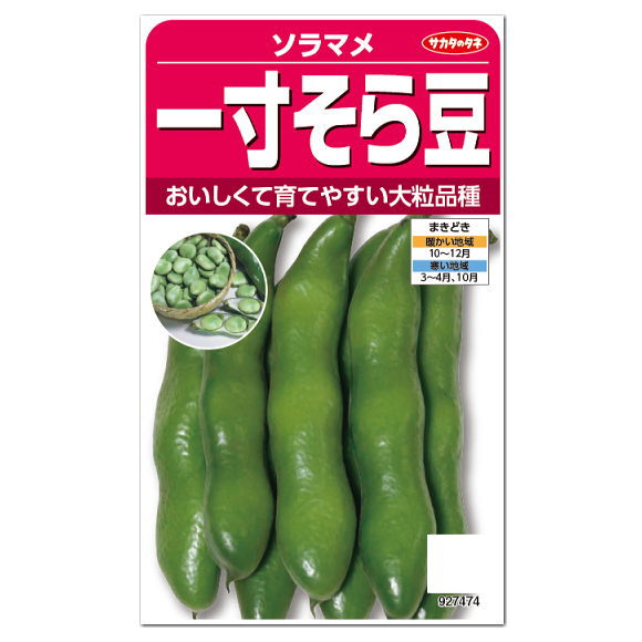 サカタのタネ 一寸そら豆 種 家庭菜園 ソラマメ そらまめ 蚕豆 空豆 そら豆のタネ 豆類のサムネイル