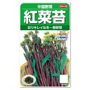 サカタのタネ 紅菜苔 コウサイタイ 人気の中国野菜!種 家庭菜園 紅菜花 べになばな こうさいたい タネ 種子 たね
