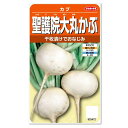 サカタのタネ 聖護院大丸かぶ 種 家庭菜園 プランター 野菜 栽培 蕪 カブのタネ たね 種子