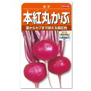 サカタのタネ 本紅丸かぶ 種(家庭菜園 プランター 蕪 カブのタネ たね 種子 )