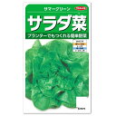 サカタのタネ サラダ菜 サマーグリーン 種 家庭菜園 レタスのタネ サラダナ 野菜 たね 種子 プランター栽培