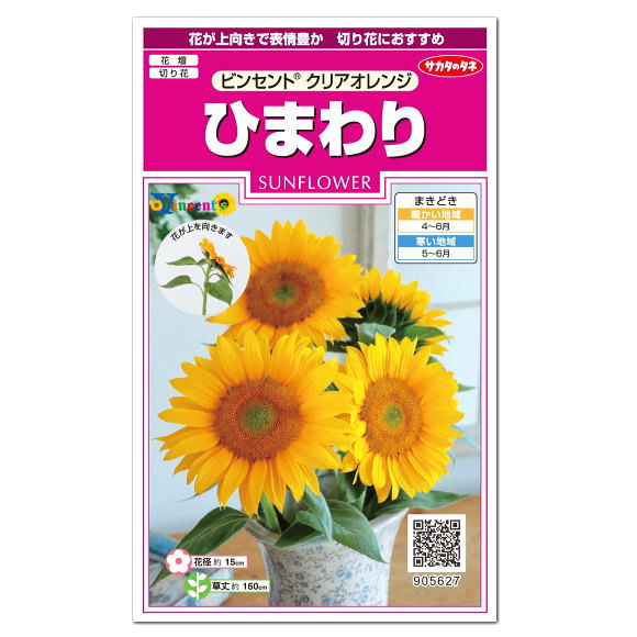 サカタのタネ ビンセントクリアオレンジ ひまわり 種 花壇 プランター 寄せ植え 草花 向日葵 かわいい ヒマワリ たね タネ 種子 切り花 アレンジ