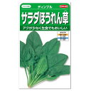 サカタのタネ サラダほうれん草 ディンプル 種 家庭菜園 プランター栽培 ほうれんそう たね ホウレンソウのタネ
