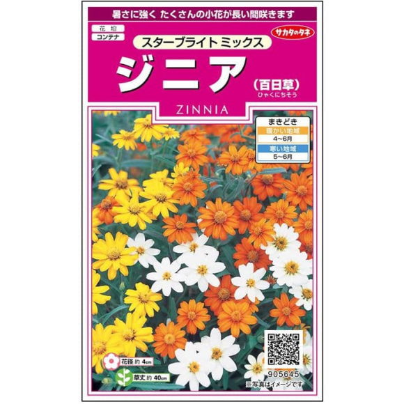 サカタのタネ ジニア スターブライト ミックス 種 905645 種子 百日草 ひゃくにちそう 花 草花 たね タネ 切り花 プランター栽培 ヒャクニチソウ ハンギングバスケット