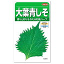 サカタのタネ 大葉青しそ 種 家庭菜園 紫蘇 シソ タネ たね 種子 青じそ 緑黄色野菜 プランター栽培