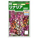サカタのタネ リナリア 姫金魚草 高性混合 耐寒性1年草 種 花壇 プランター 切り花 種子 たね ガーデニング