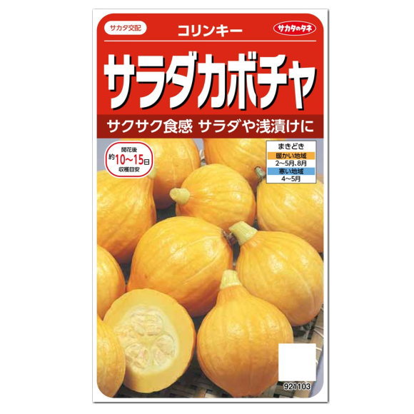 サカタのタネ サラダカボチャ コリンキー 種 家庭菜園 かぼちゃのタネ たね 種子 南瓜 サラダ 浅漬け 夏野菜のタネ
