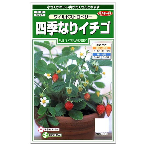 サカタのタネ 四季なりイチゴ ワイルドストロベリー 種 ハーブ 多年草 プランター栽培可 家庭菜園 たね 種子 いちご