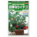 サカタのタネ 四季なりイチゴ ワイルドストロベリー 種 ハーブ 多年草 プランター栽培可 家庭菜園 たね 種子 いちご