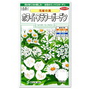 サカタのタネ 花絵の具 ホワイトフラワーガーデン 種 耐寒性1年草を中心とした混合種 種 約5平方メートル分 花壇 プランター 草花 たね ガーデニング