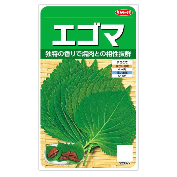 サカタのタネ エゴマ 種 種の生産地 福岡県 家庭菜園 えごまのタネ ジュウネン たね しそ Perilla ペリラ 韓国料理 プランター栽培