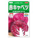 サカタのタネ 赤キャベツ レッドルーキー 種 中早生種 家庭菜園 赤きゃべつ たね 種子 キャベツのタネ 赤玉