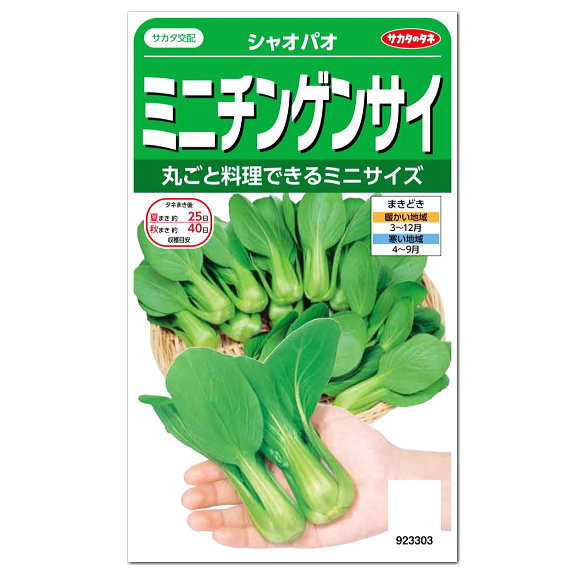 サカタのタネ ミニチンゲンサイ シャオパオ 種 家庭菜園 緑黄色野菜 タイサイ パクチョイ チンゲンサイのたね プランター栽培