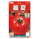 サカタのタネ 大玉トマト 麗夏 れいか 種 実咲 家庭菜園 トマトのタネ たね 大きい とまと ジュース レシピ 種子 緑黄色野菜 健康野菜 夏野菜