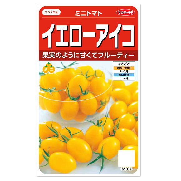 楽天ガーデニングと雑貨の菜園ライフサカタのタネ ミニトマト イエローアイコ 種 プランター栽培 家庭菜園 トマトのタネ たね とまと ジュース レシピ 種子 緑黄色野菜 健康野菜 夏野菜