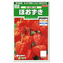 サカタのタネ ほおずき 切花用 大実 種 花壇 種子 たね 多年草 ホオズキ ガーデニング 鉢植え 切り花
