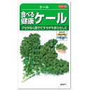 サカタのタネ 食べる健康ケール 種 家庭菜園 青汁 ケールの種 たね 種子 簡単 プランター栽培 緑黄色野菜