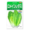 サカタのタネ ロメインレタス コスレタス 種 家庭菜園 タケノコレタス タネ 野菜 たね れたす 種子