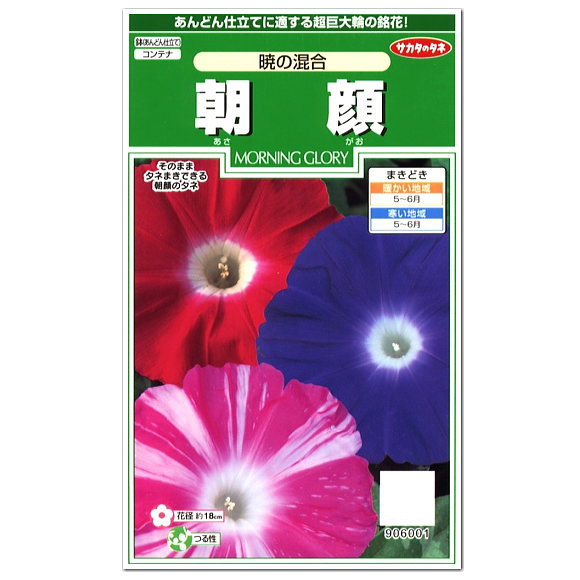 サカタのタネ 朝顔 暁の混合 種 種の生産地 大分県 つる性 朝顔 アサガオのたね 種子 あさがお グリーンカーテン 緑のカーテン