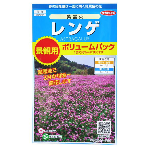 サカタのタネ レンゲ 紫雲英 種 景観用ボリュームパック 耐寒性1年草 花壇 たね 種子 れんげ げんげ