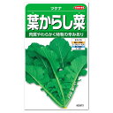 からし菜 カラシナ の育て方 栽培方法 野菜の育て方 栽培方法 からし菜 カラシナ の育て方 栽培方法 野菜の育て方 栽培方法