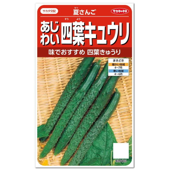 サカタのタネ あじわい四葉キュウリ 夏さんご 種 家庭菜園 胡瓜 スーヨー すうよう きゅうりのタネ たね 種子 夏野菜