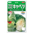 サカタのタネ やわらかたけのこキャベツ みさき 種 家庭菜園 きゃべつ たね 種子 キャベツのタネ