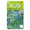 サカタのタネ ボリジ ハーブ 種 家庭菜園 料理用 ボリジのタネ たね 種子 HERB ルリチシャ common borage その1