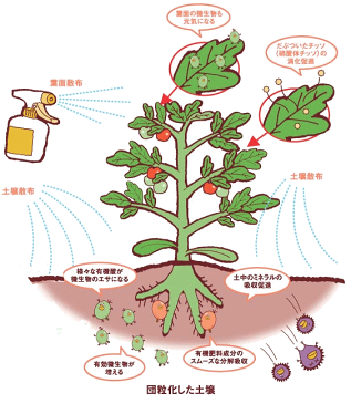 【送料無料！8本セット！】有機酸調整済み！　そのまま使える木酢液　1500ml（植物活性・土壌改良・有機栽培・消臭・ガーデニング・もくさく液・家庭菜園）