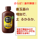 楽天ガーデニングと雑貨の菜園ライフ菌の黒汁 原液 1L　微生物を含む特殊肥料 土壌改良材 有機肥料 用土再利用 有機栽培 オーガニック 液肥 ガーデニング 家庭菜園 園芸 1000ml