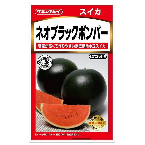 タキイ ネオブラックボンバー 小玉スイカ 種 家庭菜園 スイカのタネ たね 種子 夏野菜 すいか 西瓜