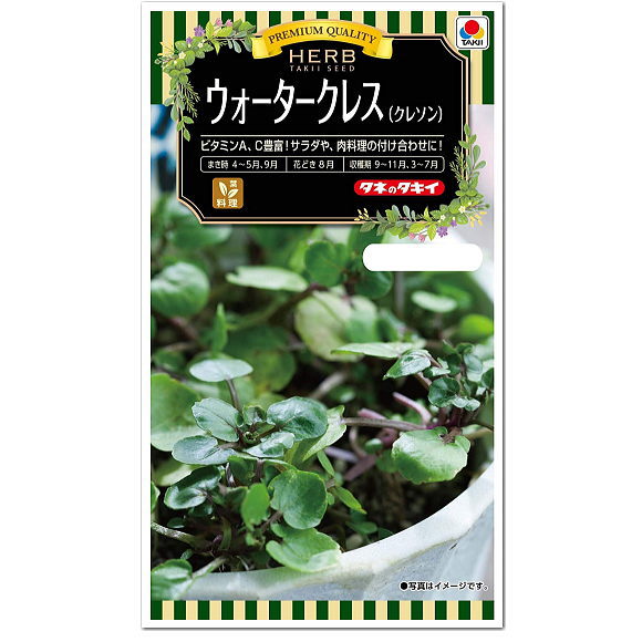 【代引不可】【送料5袋まで80円】 □ ハーブタイム■ハーブ 種種子 種子そ 他 ハーブ 種種子 種子そ 他 ハーブ 種種子 種子そ 他 ハーブ 種種子 種子そ 他 ハーブ 種種子 種子そ 他 ハーブ 種種子 種子そ 他 ハーブ 種種子 種子そ 他