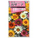 タキイ ガザニア タレント ミックス FGZ120 種 種子 勲章菊 花 植物 タネ たね 花壇