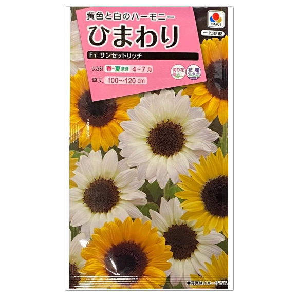 タキイ ひまわり サンセットリッチ FHM451 種 種子 花 植物 タネ たね 花壇 切り花 ドライフラワー