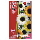 タキイ種苗 ひまわり サンセットリッチ FHM451 種 種子 花 植物 タネ たね 花壇 切り花 ドライフラワー タネのタキイ