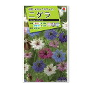 タキイ ニゲラ ペルシャンジュエル FZZ770 種 種子 花 植物 タネ たね 花壇 切り花 ドライフラワー プランター 鉢植え アレンジ クロタネソウ