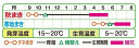 saienlife:10012502のサンプル画像2
