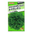 タキイ種苗 やわらかおいしいチマサンチュ青葉 種 ALE612 家庭菜園 チマサンチ チマサンチュ レタス タネ 野菜 たね 種子 れたす ベランダ プランター栽培 焼肉